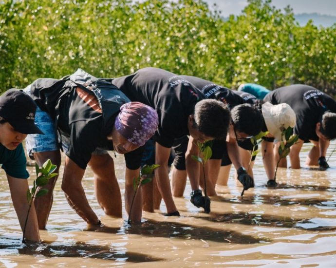 Marriott Indonesia Tanam 10.000 Mangrove