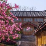 Musim Semi Aman China